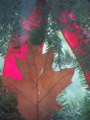 Wreath with autumn leaf