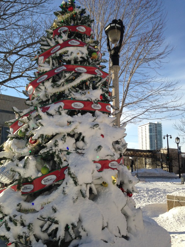 Snow-flocked Christmas tree at Red Arrow Park