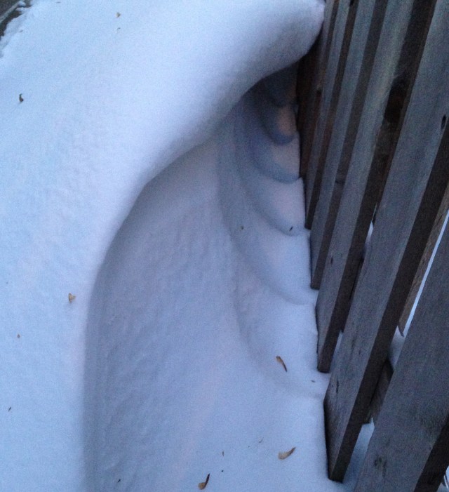 snowdrift against the fence