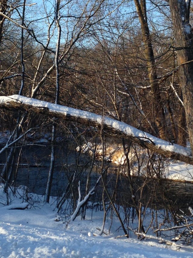Menomonee River, early morning January [2]
