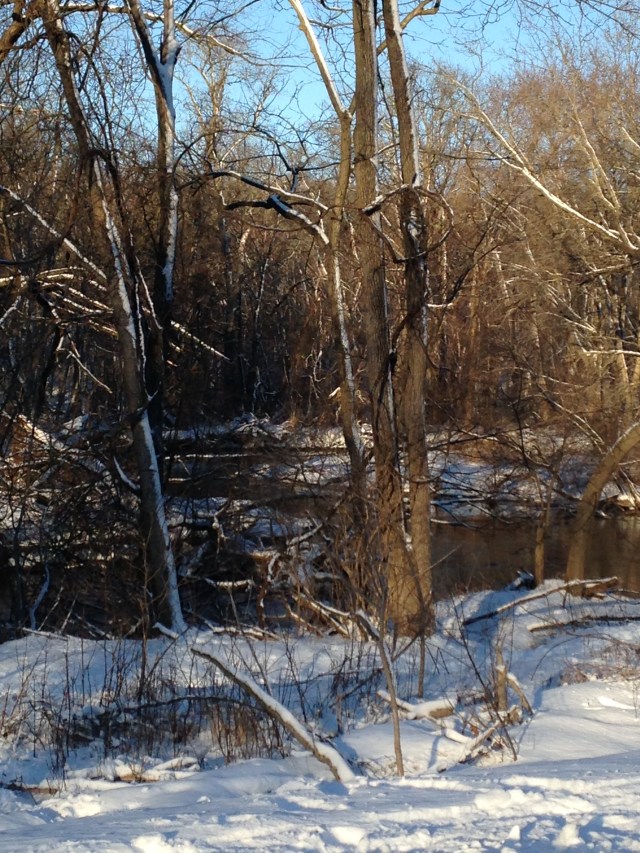 Menomonee River, early morning January [3]