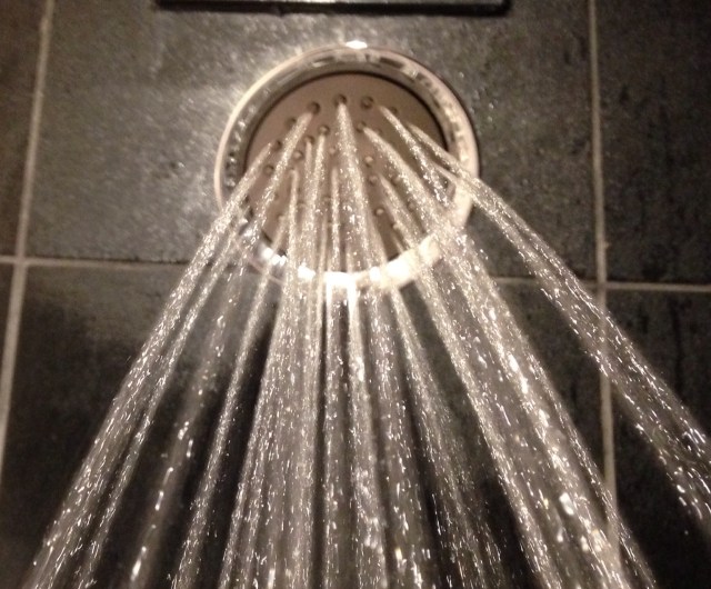 Psycho shower
