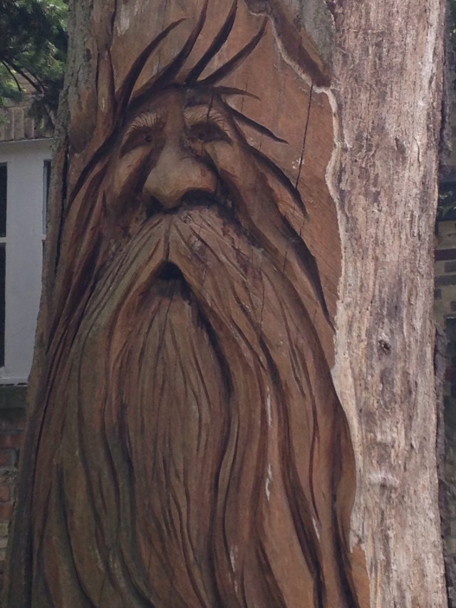 carved tree art - bearded man in stump