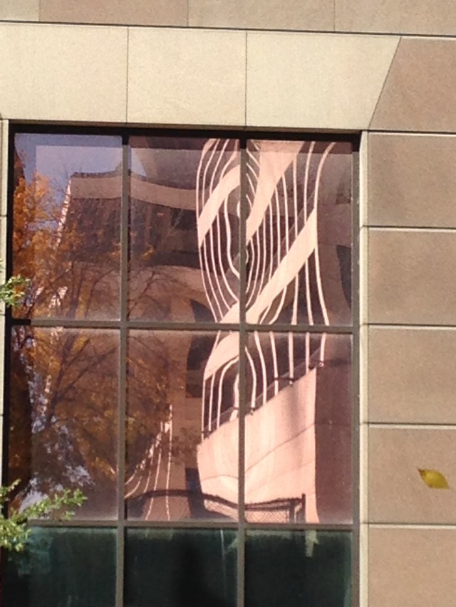 distorted office windows and a single leaf