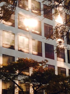 "Autumn Afternoon Light, Twice Reflected"