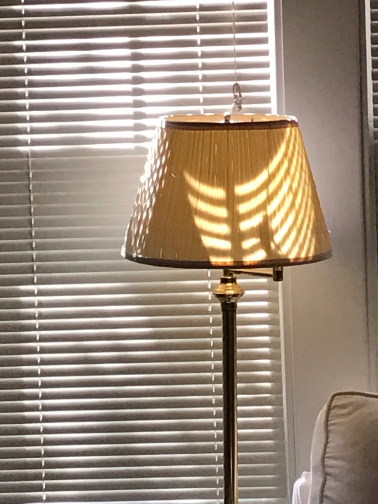 Crooked lamp with blinds on a sunny day