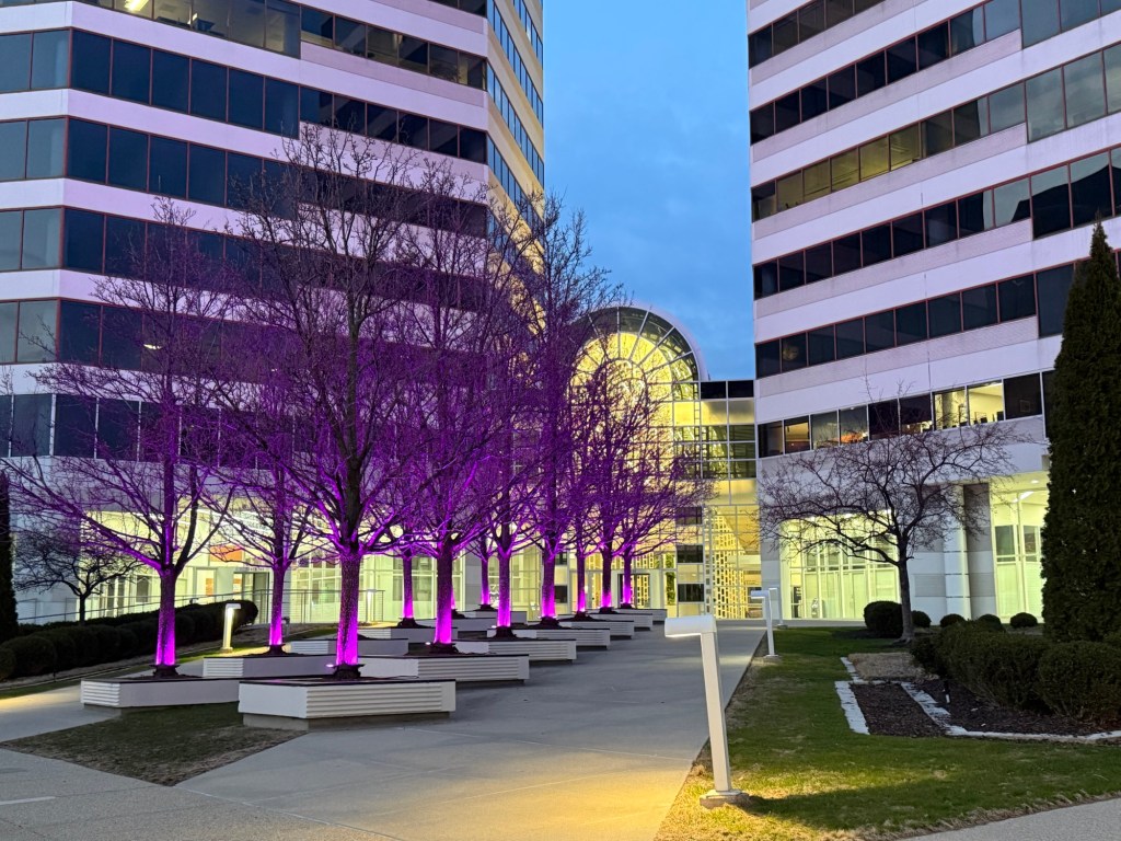 Urban trees in an office building entrance mall with glowing purple lights
