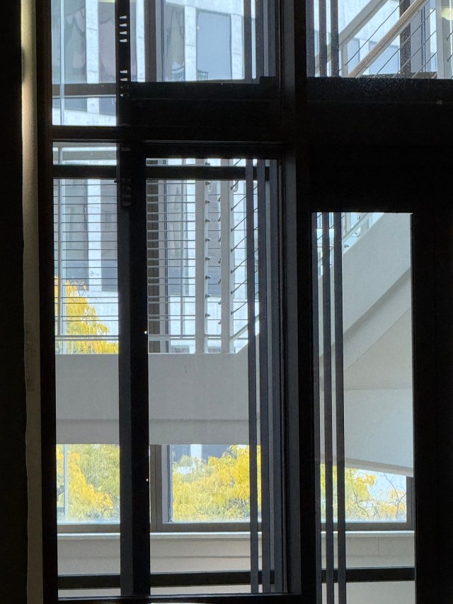 A Mondrianesque view through a glass elevator shaft, with lots of right angles and parallel lines of varying thicknesses  