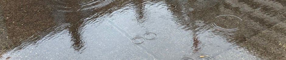 Rings from raindrops spreading across the reflection of Milwaukee’s Grohmann Museum on the surface of a puddle