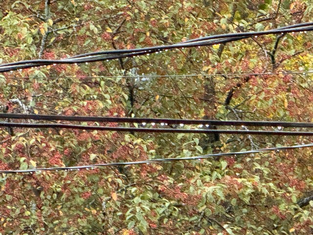 October Drizzle - rain droplets strung along the wires